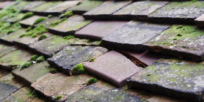 Burbage roof repair costs
